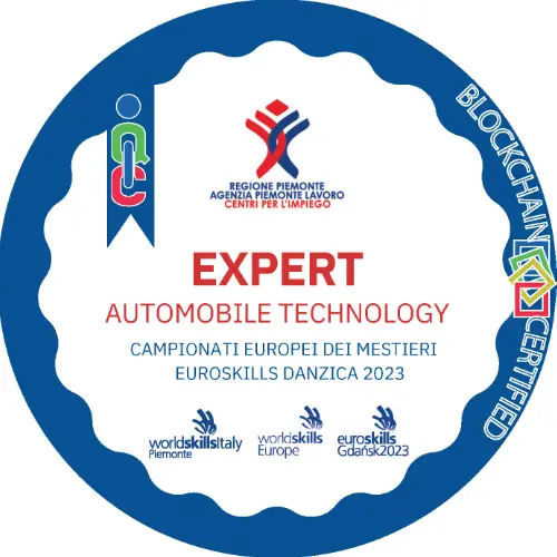 Badge pubblico 17114